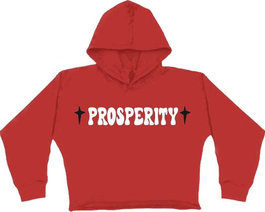 "DREAM UNTIL ITS YOUR REALITY" PULLOVER HOODIE